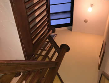 Roof Timbers